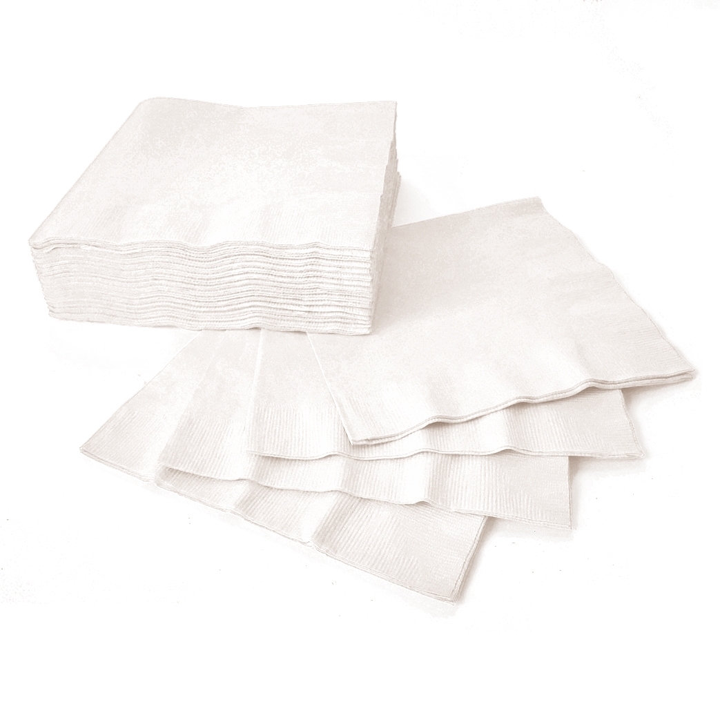 (40) Luncheon Napkins - Frosty White