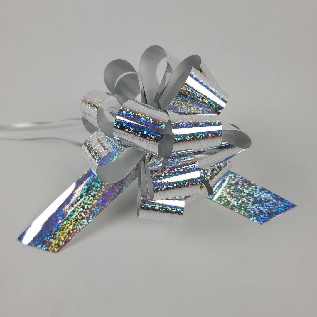 #9 Pull Bow Holographic 5.5" - Silver