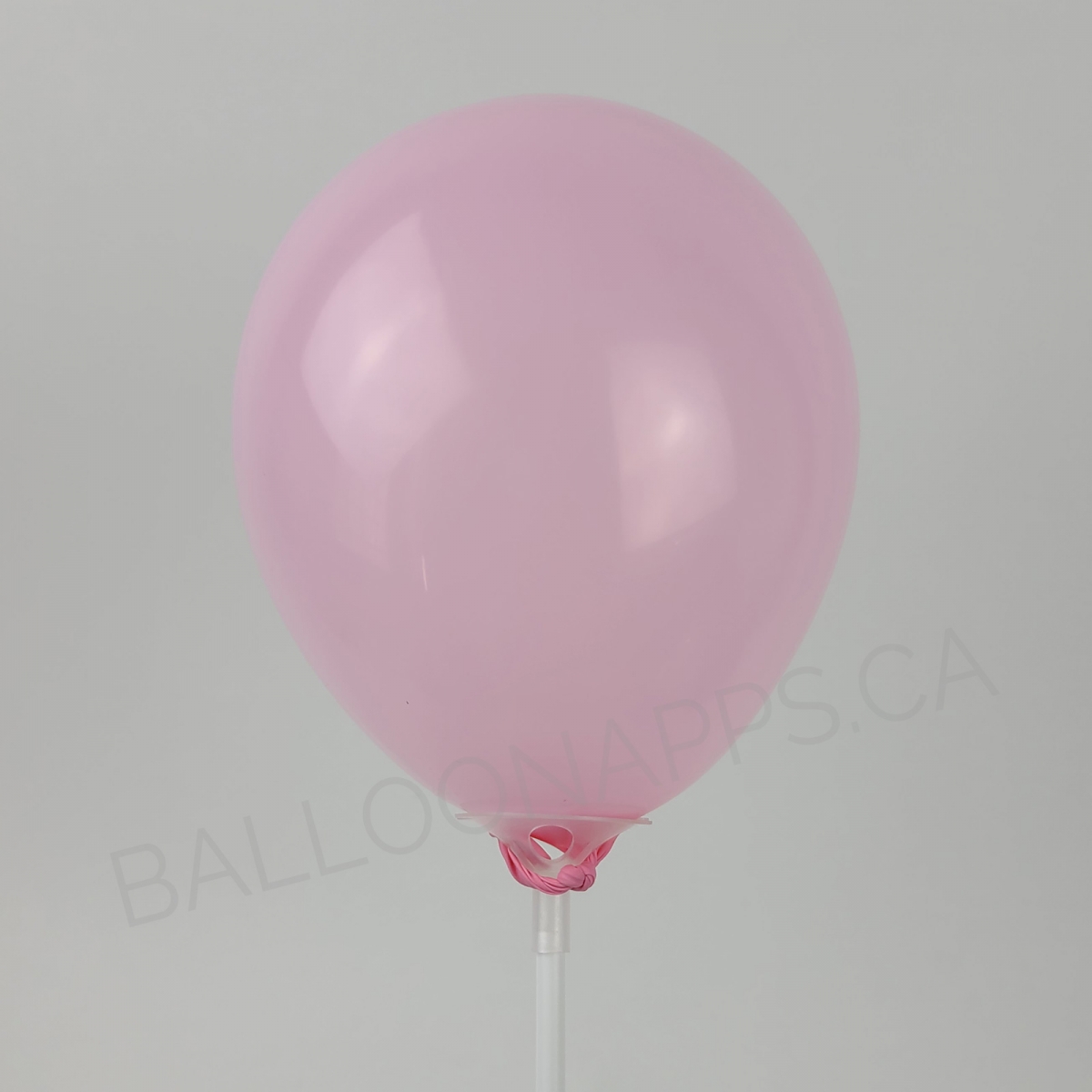ECONO (100) 5" Baby Pink balloons
