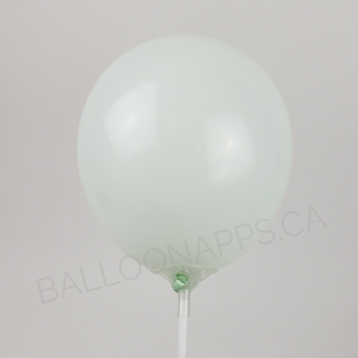 ECONO (100) 5" Pastel Green balloons
