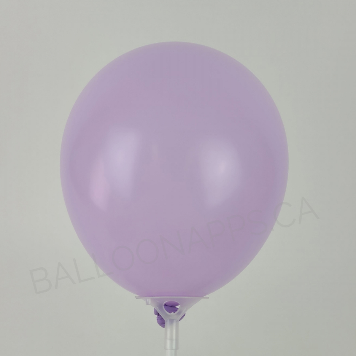ECONO (100) 5" Pastel lilac balloons