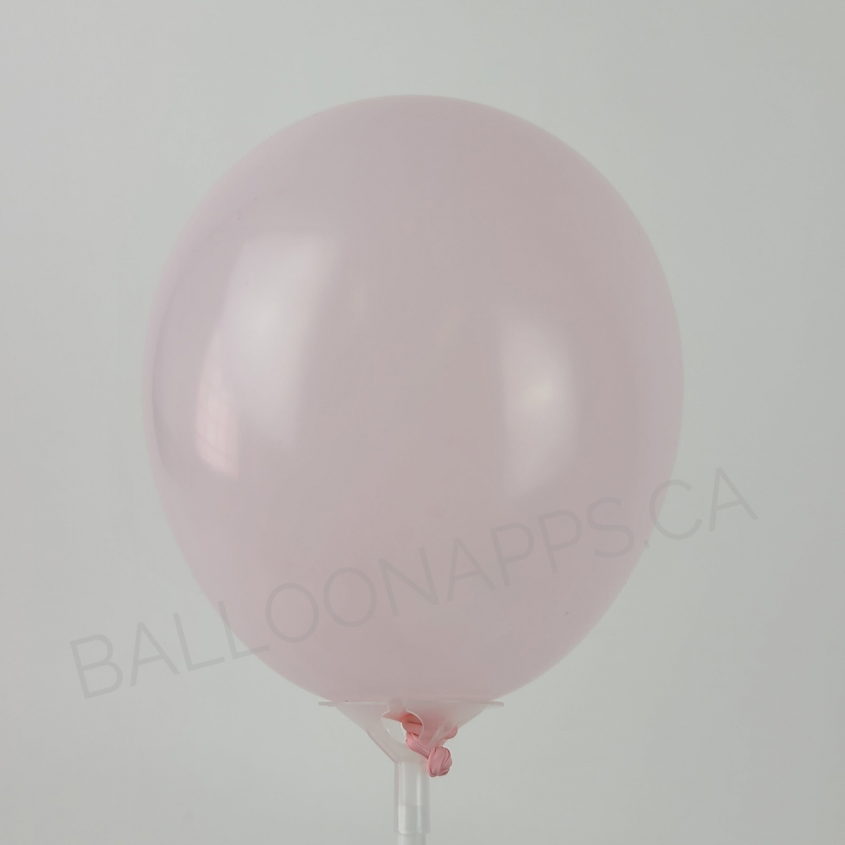 ECONO (100) 5" Pastel Pink balloons
