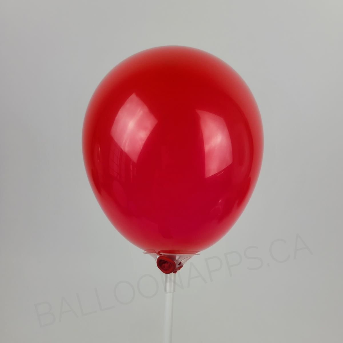 NEW ECONO (100) 5" Red balloons