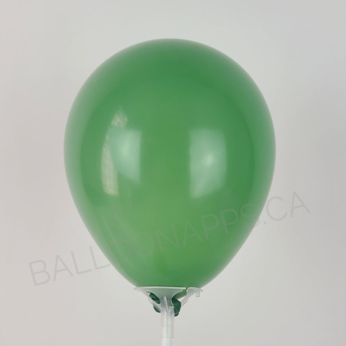 ECONO (100) 5" Sage Green balloons