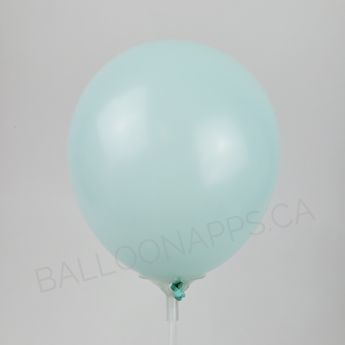 ECONO (100) 5" Tiffany Green balloons