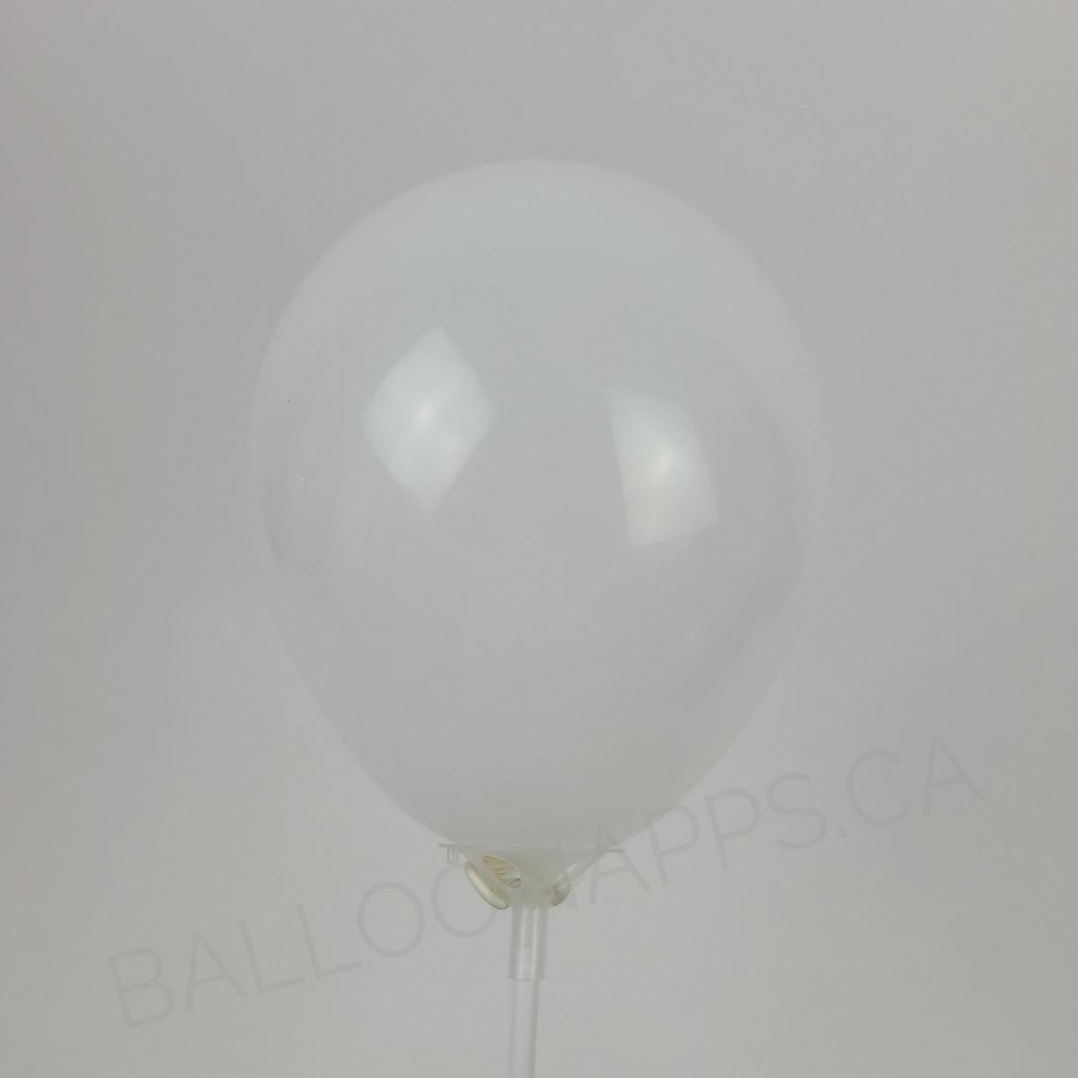 ECONO (100) 5" White balloons
