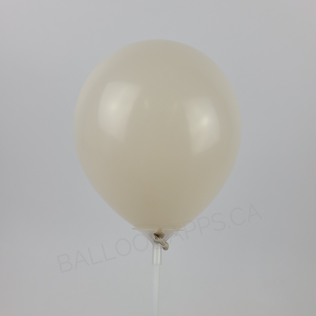 ECONO (100) 5" White Sand balloons