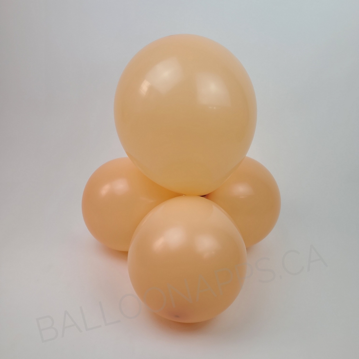 ECONO (50) 11" Blush balloons