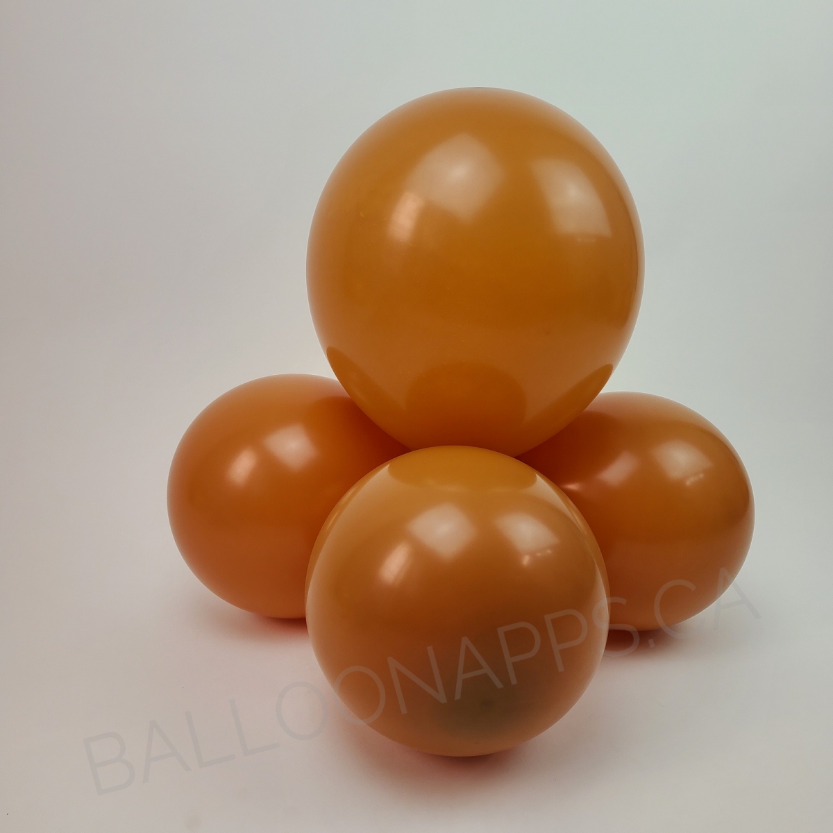 ECONO (50) 11" Caramel balloons