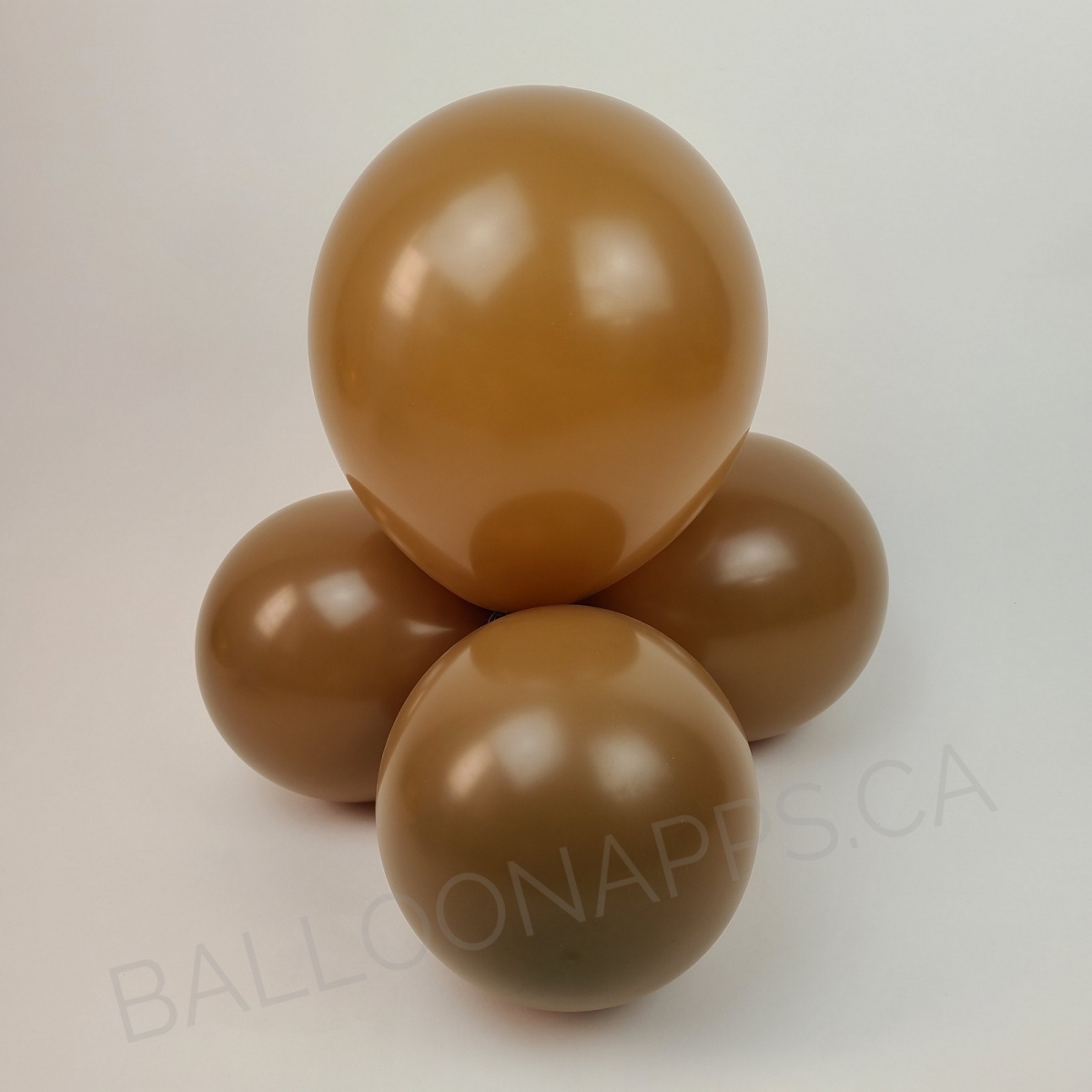ECONO (50) 11" Mocha brown balloons