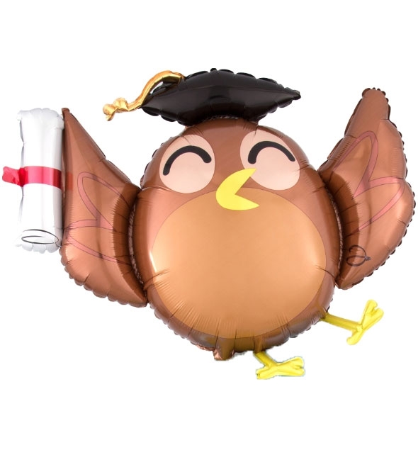 Graduation Owl balloon (polybag)