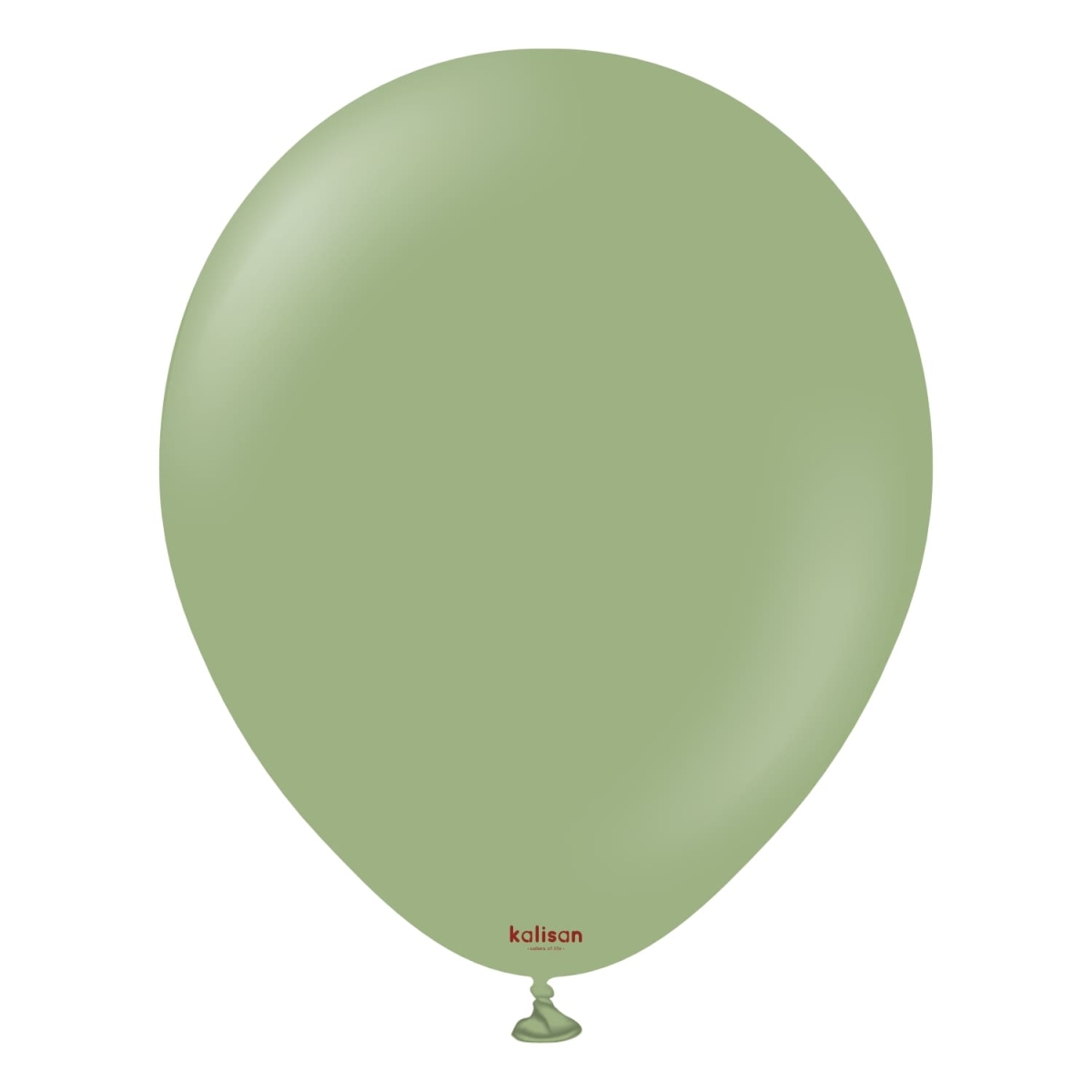 KALISAN (50) 11" Retro Eucalyptus Balloons