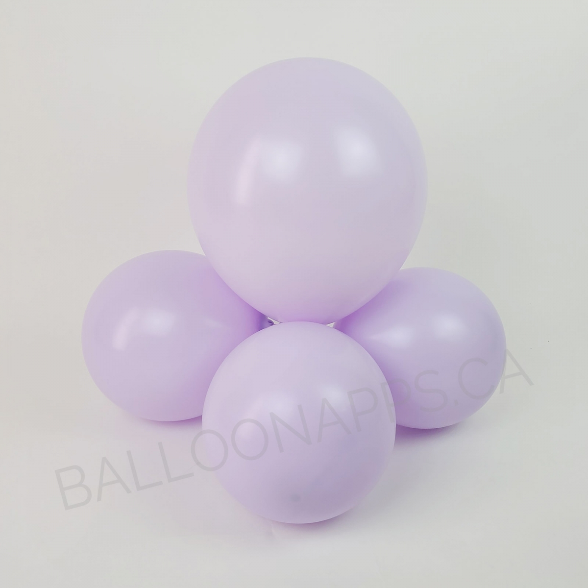 MACARON (50) 11" Macaron Lilac high-quality balloons