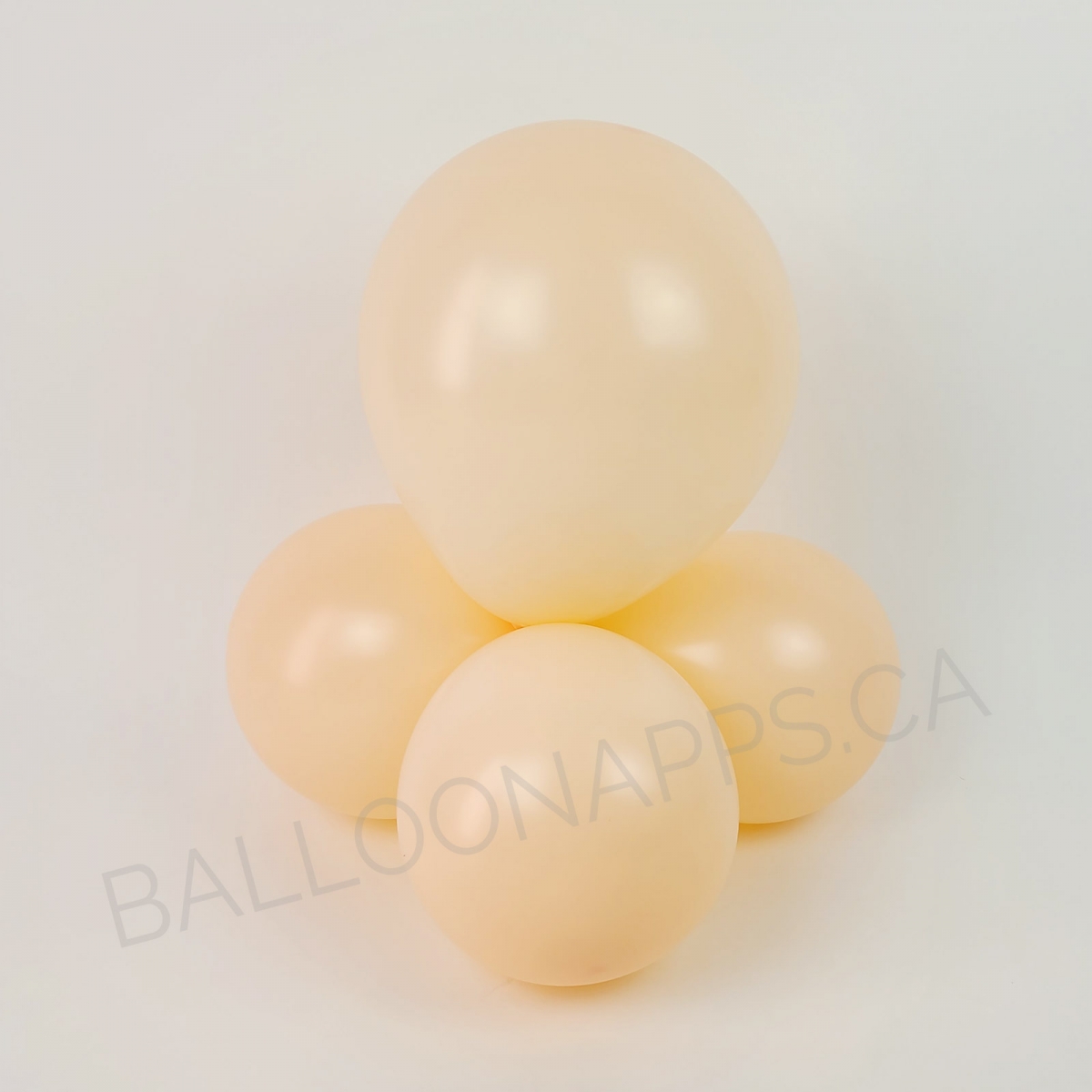 MACARON (50) 11" Macaron Peach high-quality balloons