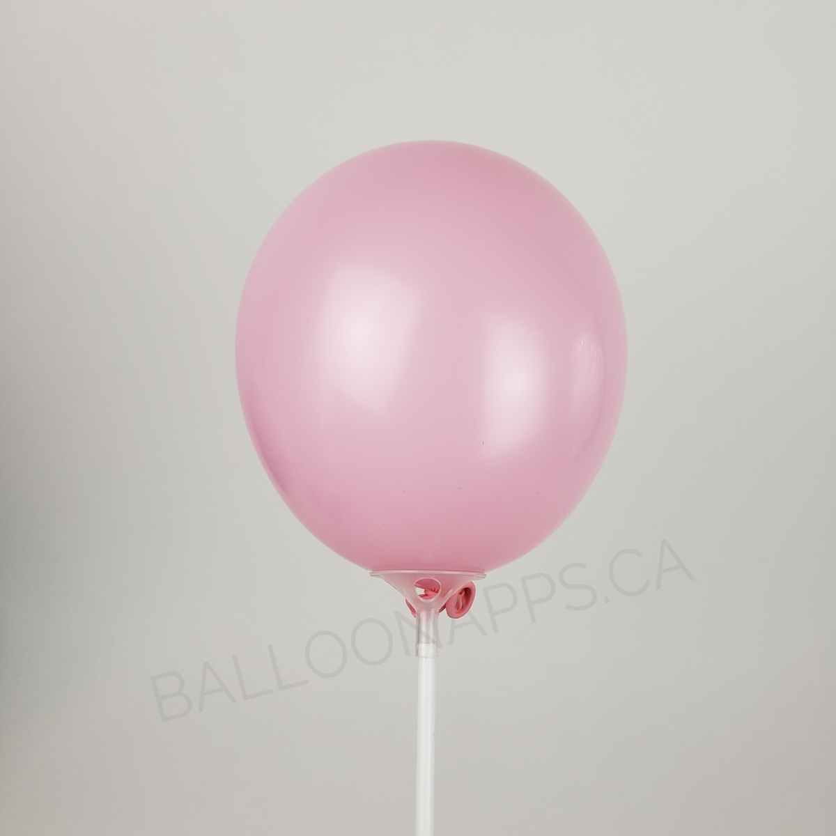 NOVA (100) 5" Baby Pink balloons