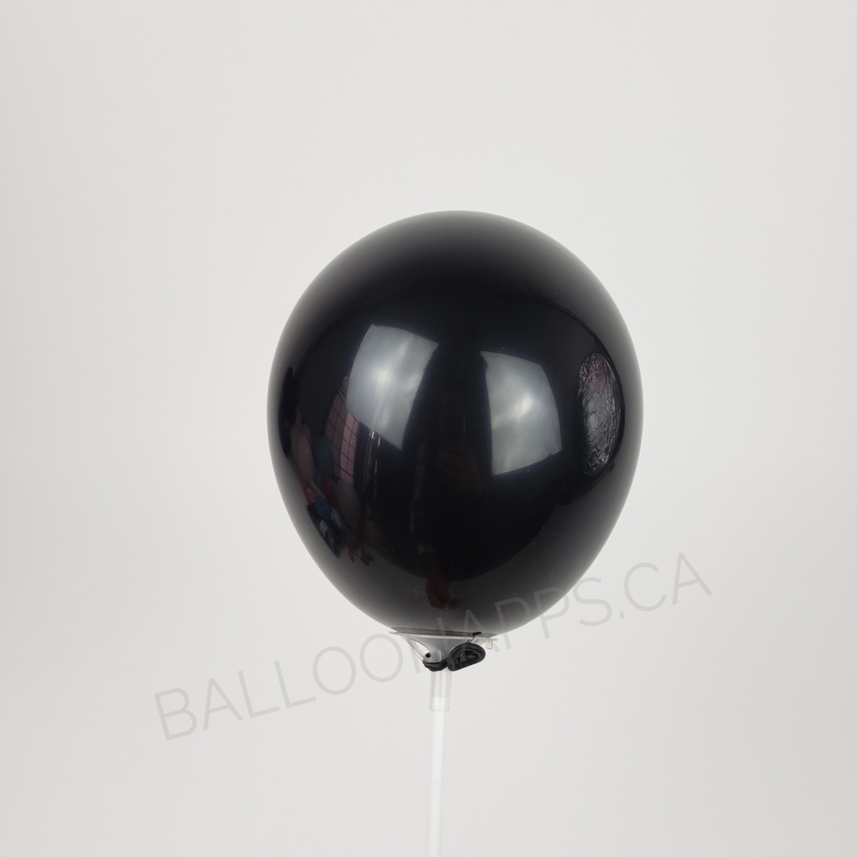 NOVA (100) 5" Black balloons