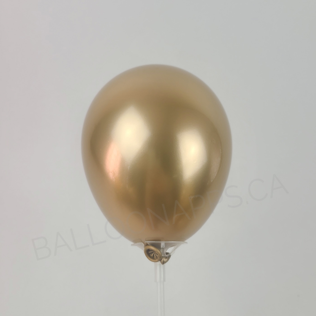 NOVA (100) 5" Gold balloons