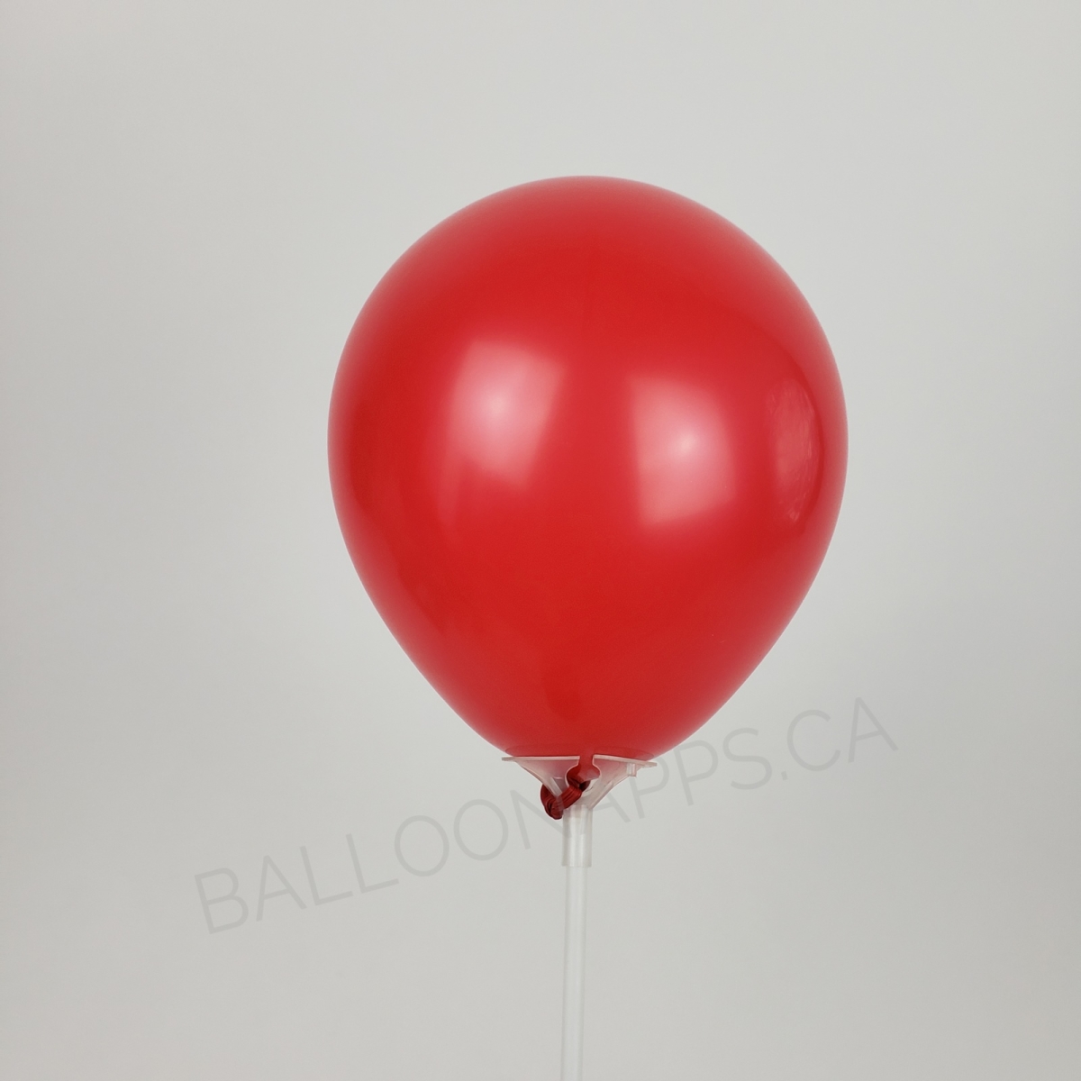 NOVA (100) 5" Red balloons