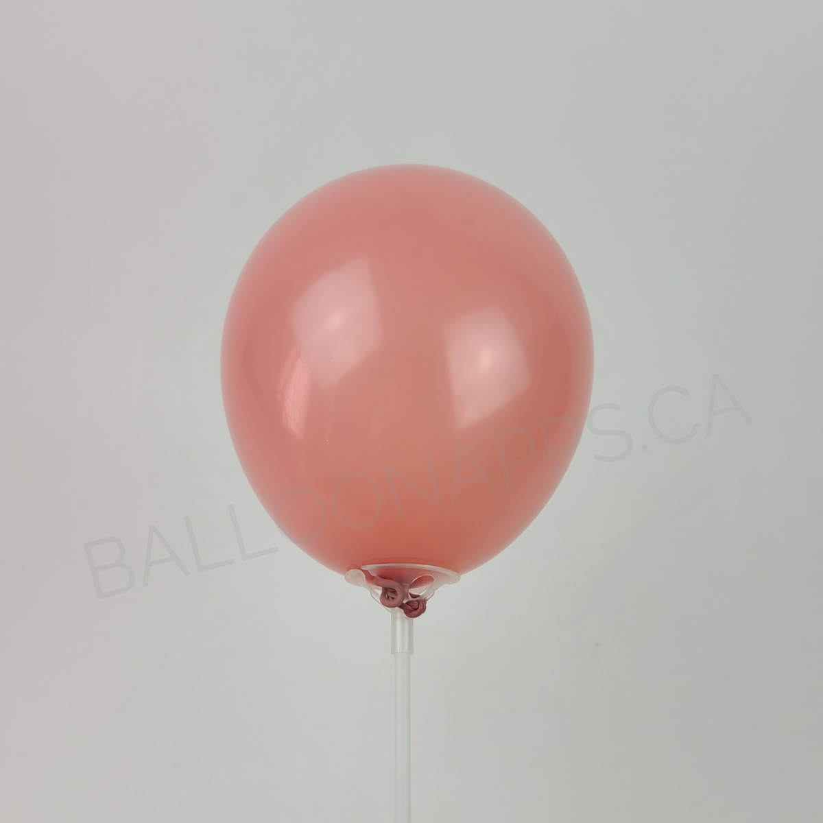 NOVA (100) 5" Rosewood balloons