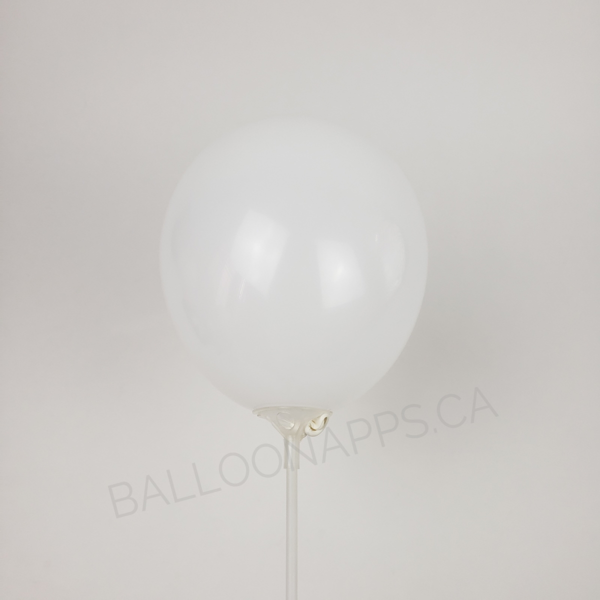 NOVA (100) 5" White balloons